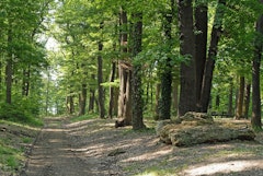 Montéclin and Bel-Air