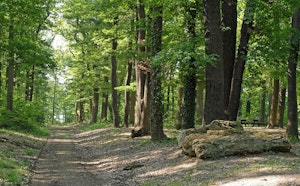 Montéclin and Bel-Air