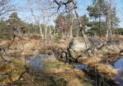 Platières des Béorlots and Mare des Couleuvreux