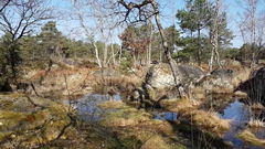 Platières des Béorlots and Mare des Couleuvreux