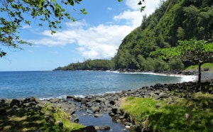 Anse des Cascades et Gros Piton