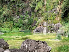 Bassin Vital