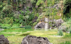 Bassin Vital