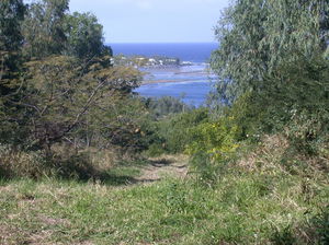 Forêt de l'Étang-Salé
