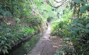 Canal Prune et ravine Saint-Gilles