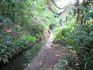Canal Prune et ravine Saint-Gilles