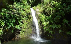 Cascades et ruisseaux du pic Adam