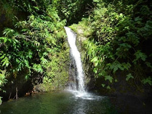 Cascades et ruisseaux du pic Adam