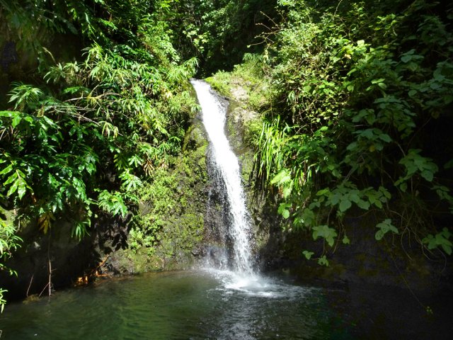 Cascades et ruisseaux du pic Adam