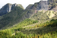 La Nouvelle depuis le col des Boeufs