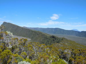 Nez Coupé de Sainte-Rose