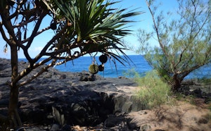 Jardin volcanique de Saint-Philippe