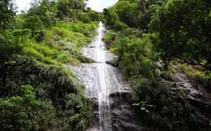 Cascade de la rivière Couleuvre