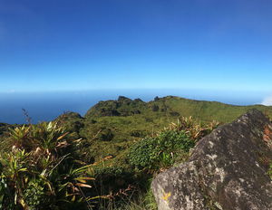 Montagne Pelée by Grande Savane