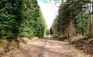Around Bagnoles-de-l'Orne