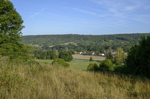 Berges de l'Iton depuis Amfreville-sur-Iton