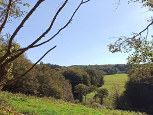Bocage et collines de Tourlaville