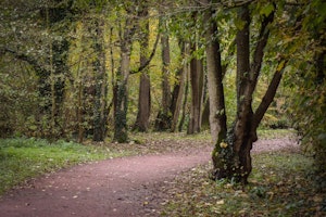 Bois des Amis de Jean Bosco