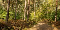Bois du Defend