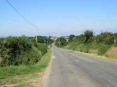 Forêt d'Écouves