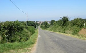 Forêt d'Écouves