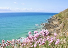 Cap de Carteret