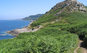 Castel Vendon