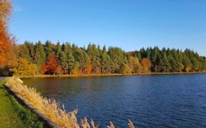 Chaumont Ponds and Bresolettes Glade