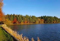 Chaumont Ponds and Bresolettes Glade