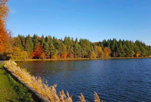 Étangs de Chaumont et clairière de Bresolettes