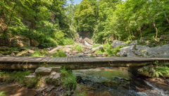 Crests and Monuments of Mortain