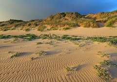 Dunes d'Hatainville