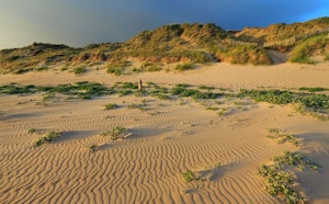 Dunes d'Hatainville
