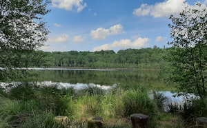 Étangs de l'Ermitage