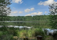 Étangs de l'Ermitage