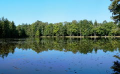 Étangs de la Forge, du Cachot et du Gré