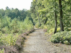 Forêt d'Évreux