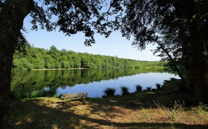 Forêt du Grais