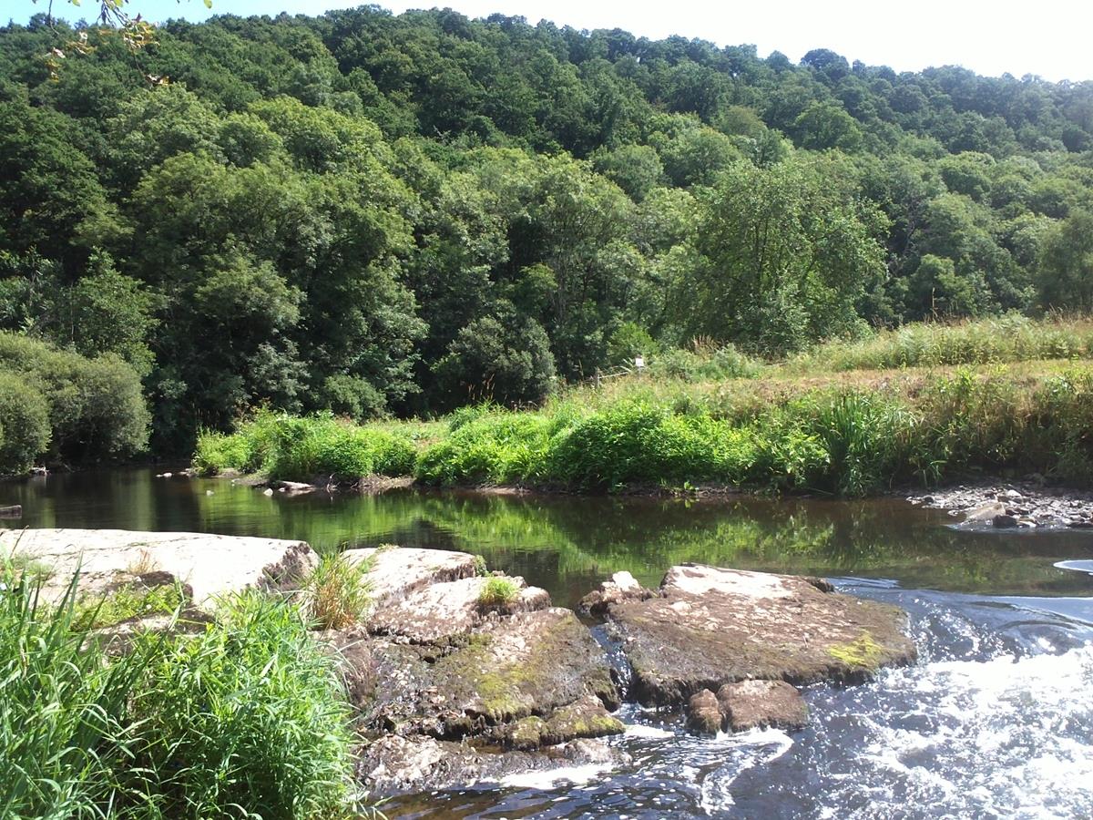 Gorges de la Vire