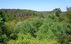 Gorges de Villiers