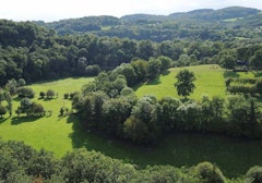 Meander of the Rouvre