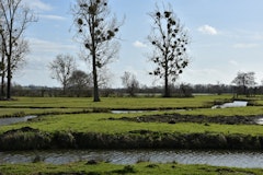 Marais de Bavent