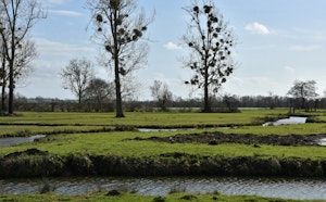 Marais de Bavent