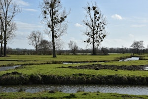 Marais de Bavent