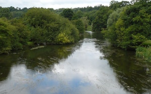 Meanders of the Orne from La Courbe