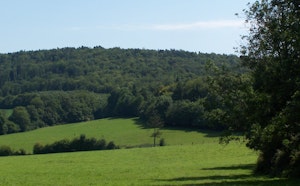 Mont d'Ancre