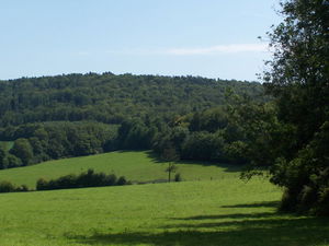 Mont d'Ancre