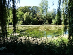 Pierrepont