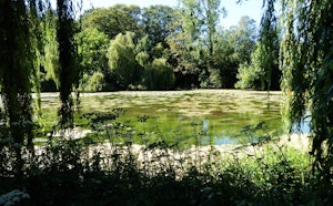 Pierrepont