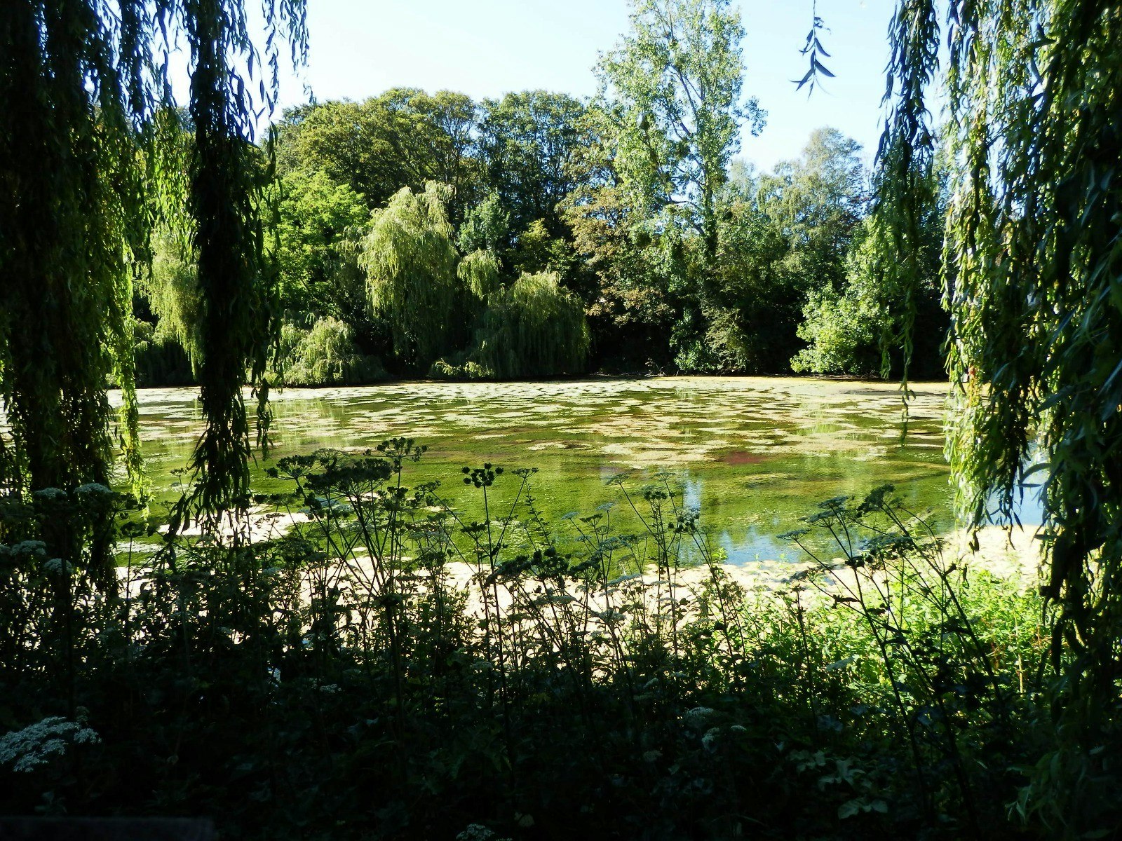 Pierrepont